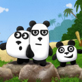 3 Pandas