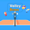 Volley Beans